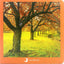 OTOÑO I Nowordbooks I Nowordbooks I 9788494585852