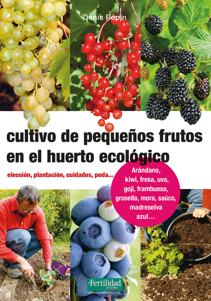 CULTIVO DE PEQUEÑOS FRUTOS EN EL HUERTO ECOLOGICO - 9788494826788