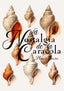 LA NOSTALGIA DE LA CARACOLA I Sanchis Valero, Miquel I Stella Gemella Editorial I 9788494831140