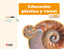 Educación Plastica Visual 1º ESO Nova 11 ECIEA31ESO (Ecir) - 9788498265729
