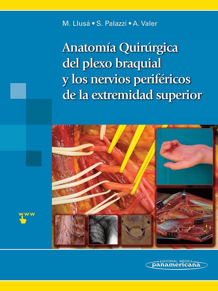 ANATOMIA QUIRURGICA DEL PLEXO BRAQUIAL Y NERVIOS PERIFERICOS - 9788498356106