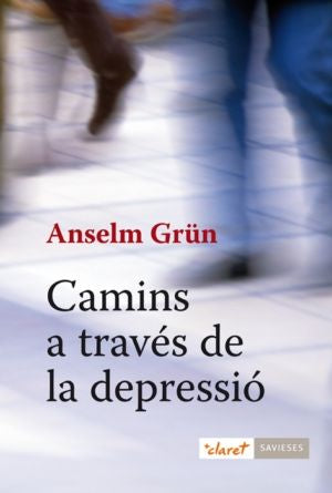 CAMINS A TRAVES DE LA DEPRESSIO - 9788498462074