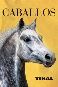 FOTOLIBROS ESTUCHE CABALLOS - 9788499283999