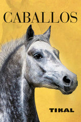 FOTOLIBROS ESTUCHE CABALLOS - 9788499283999