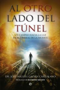 AL OTRO LADO DEL TUNEL I Gaona,Jose Miguel I Esfera De Los Libros I 9788499702643