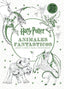 HARRY POTTER ANIMALES FANTASTICOS MINI LIBRO PARA COLOREAR | Aa,vv | 9788868219970 (Magazzini salani)