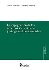 IMPUGNACION ACUERDOS SOCIALES JUNTA GENERAL ACCIONISTAS - 9791387543440
