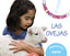 Proyecto "Las ovejas"