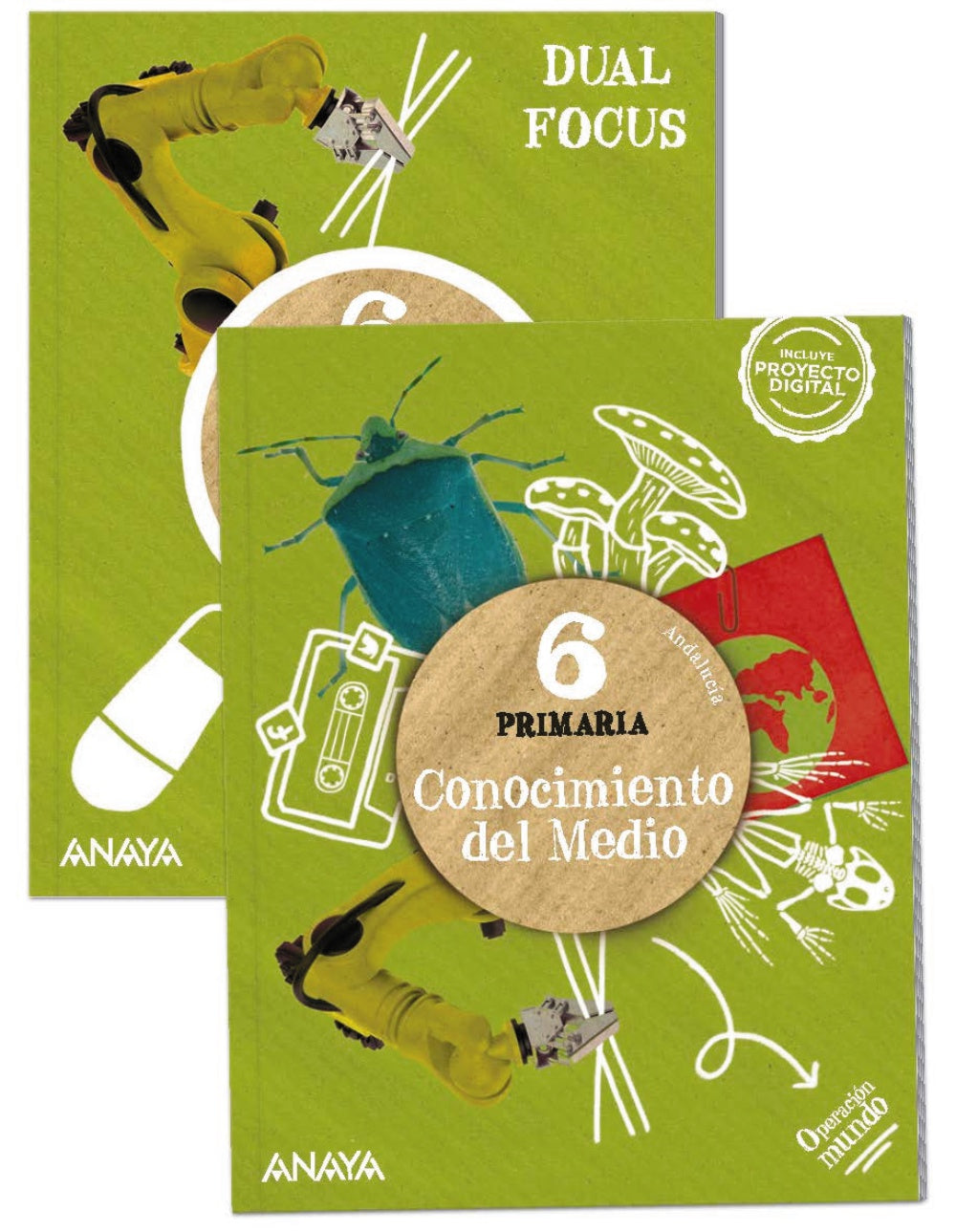 Conocimiento del medio 6. + Science 6. Dual focus (6º Primaria) Operación Mundo | Varios autores | 9788414322789 (ANAYA TEXTO)