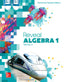 Reveal Álgebra 1, Interactive Student Edition, Volume 2 (Mcgraw Hill) - 9780078997433