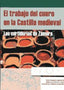 El trabajo del cuero en la Castilla medieval: Las curtidurías de Zamora. Palomino Lazaro, Angel Luis, Santamaria Gonzalez, Jose Enrique, Villanueva Zubizarreta, Olatz (Castilla Ediciones) 9788496186705