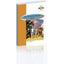 Br - Eso 2 - The Wizard Of Oz. Aa. Vv. (Burlington Books) 9789963481095