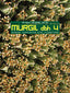 Murgil DBH 4: Euskal Hizkuntza eta Literatura. Aizpurua, Patxi, Larrañaga, Jokin, Trigo, Marilo (Erein Argitaletxea, S.A.) 9788497463263