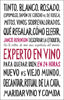 Experto en vino en 24 horas. Edición especial. Jancis Robinson (Planeta Gastro) 9788408311096