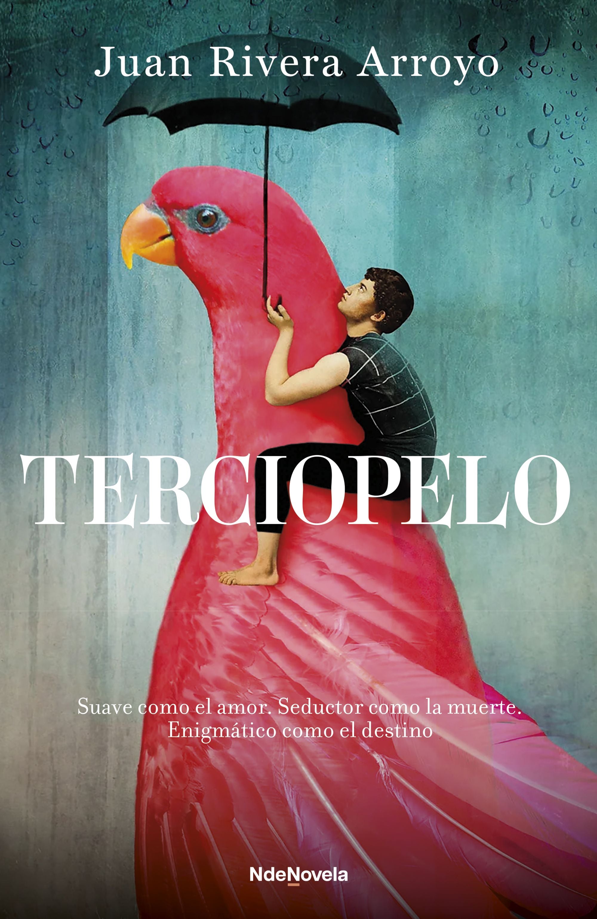 Terciopelo. Juan Rivera Arroyo (NdeNovela) 9788410140158
