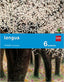 ► 6º PRIMARIA - Lengua. Savia - 9788467575668 (Español) Tapa blanda