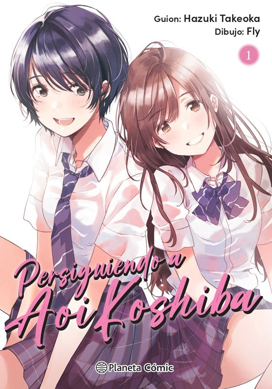PERSIGUIENDO A AOI KOSHIBA Nº1 [RUSTICA] Imagen principal del producto