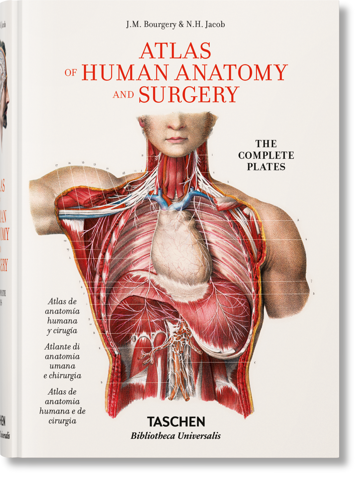 Bourgery: Atlas de anatomía humana y cirugía