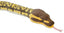 Peluche Serpiente Piton Bola WILD REPUBLIC