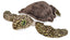 PELUCHE CK TORTUGA MARINA VERDE | WILD REPUBLIC | 1 UNIDAD | 92389216530
