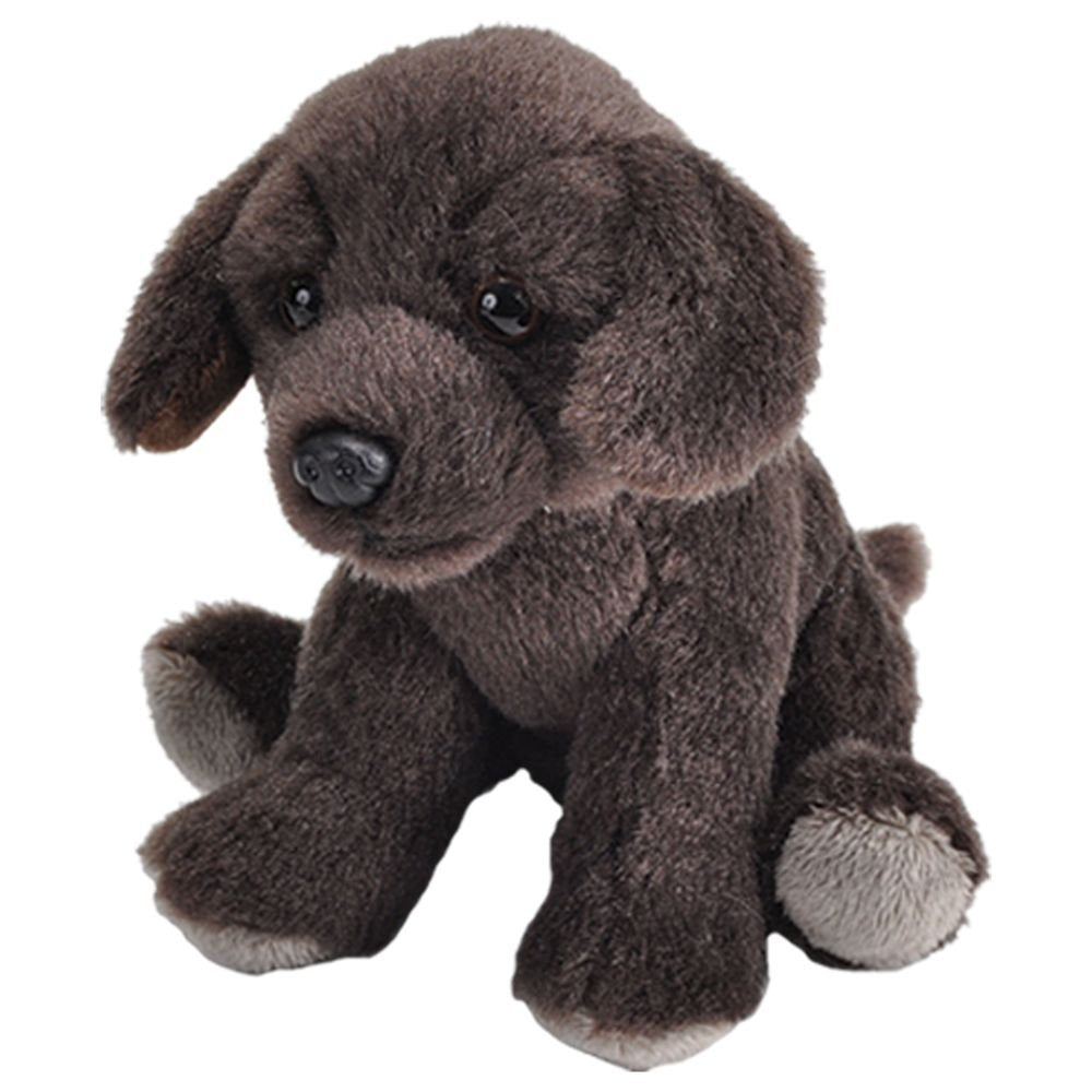 Peluche Pocketkins Eco Dog Labrador Chocolate WILD REPUBLIC