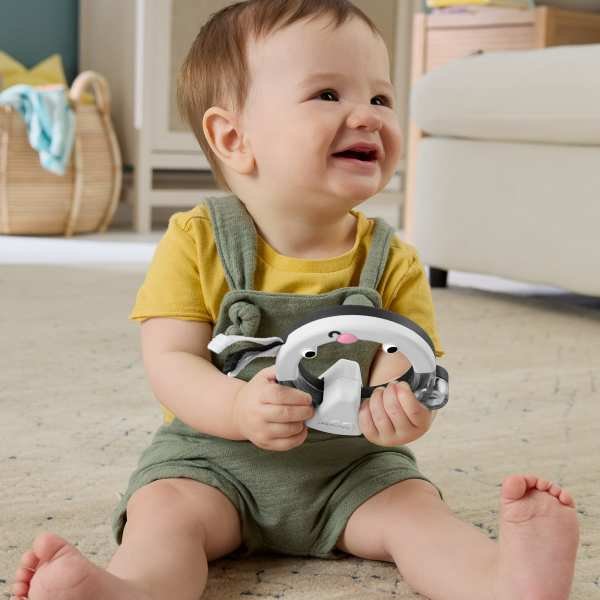 Fisher-Price Sonajeros Animales Surtidos, pack de 5