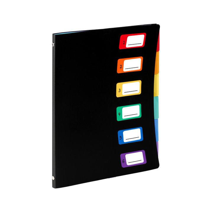 CLASIFICADOR CARPETA DE FUNDAS A4 6 COMPARTIMENTOS | 1 UNIDADES | (VIQUEL SAS)