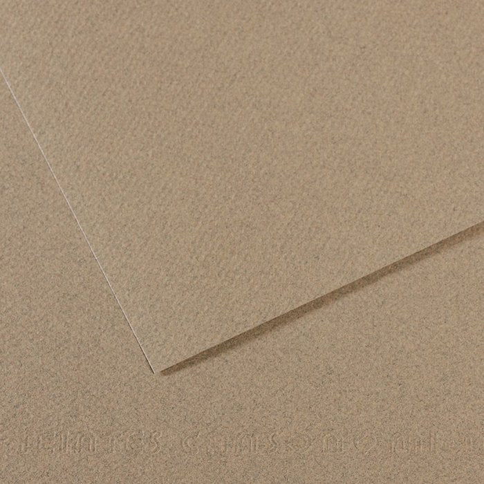 PAPEL MI-TEINTES 50X65 60% ABEJA 160G NUMERO 429 | 10 UNIDADES | (GUARRO & CANSON) Imagen principal del producto