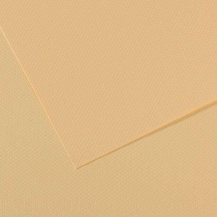 PAPEL MI-TEINTES 50X65 160GRS LICHEN PASTEL | 10 UNIDADES | (GUARRO & CANSON)