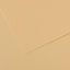 PAPEL MI-TEINTES 50X65 160GRS LICHEN PASTEL | 10 UNIDADES | (GUARRO & CANSON)