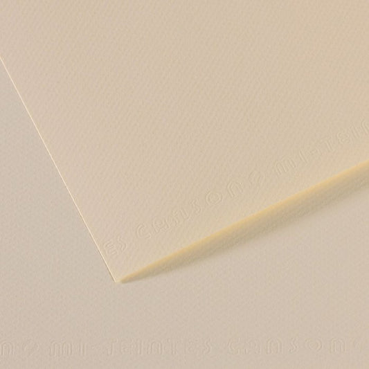 PAPEL MI-TEINTES 50X65 160GR ( 110) FLOR DE LYS | 10 UNIDADES | (GUARRO & CANSON)