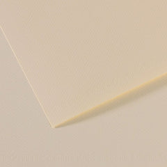 PAPEL MI-TEINTES 50X65 160GR ( 110) FLOR DE LYS | 10 UNIDADES | (GUARRO & CANSON)