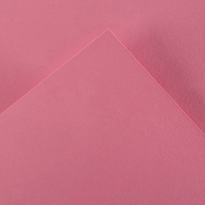 CARTULINA GUARRO IRIS A3 185 GR ROSA CHICLE | 50 UNIDADES | (GUARRO & CANSON) Imagen principal del producto