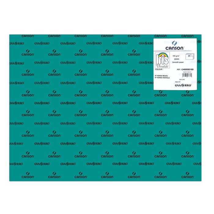 CARTULINA GUARRO 50X65 185GRS IRIS VERDE MENTA | 25 UNIDADES | (GUARRO & CANSON) Imagen principal del producto