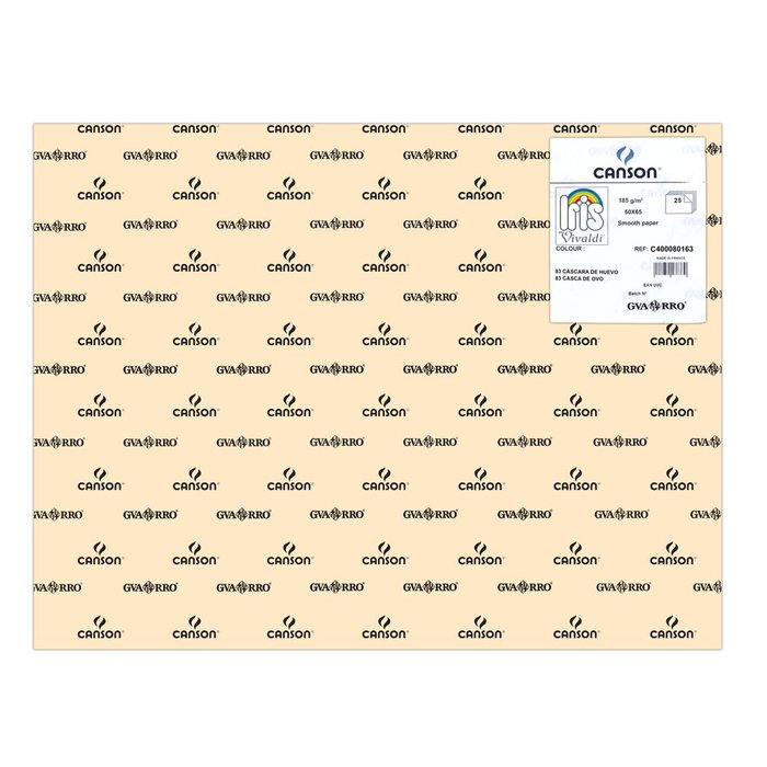 CARTULINA GUARRO 50X65 185GRS IRIS CARNE | 25 UNIDADES | (GUARRO & CANSON) Imagen principal del producto