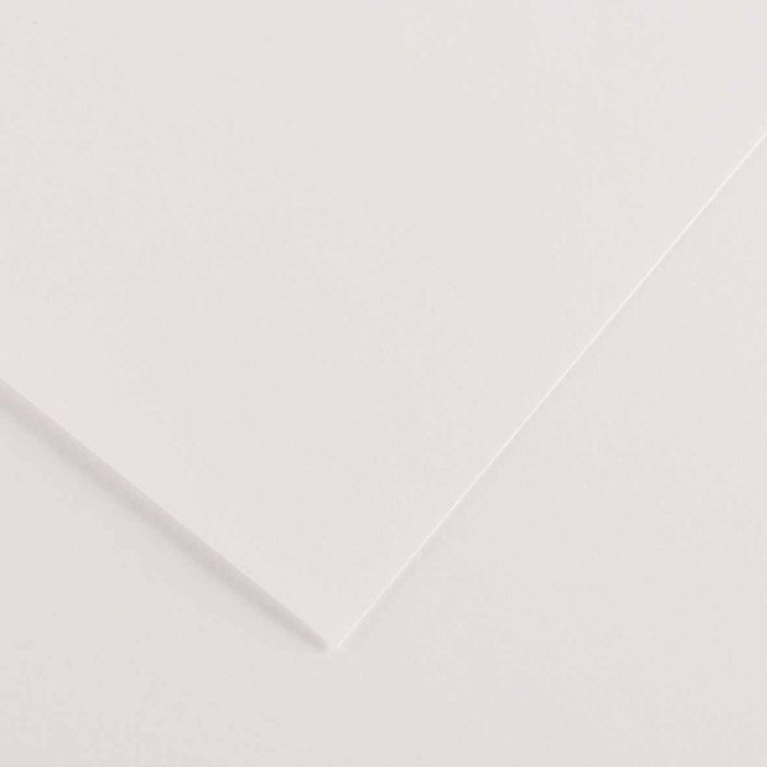 CARTULINA GUARRO 50X65 BLANCA P/125 ANTIHUMEDAD | 125 UNIDADES | (GUARRO & CANSON)