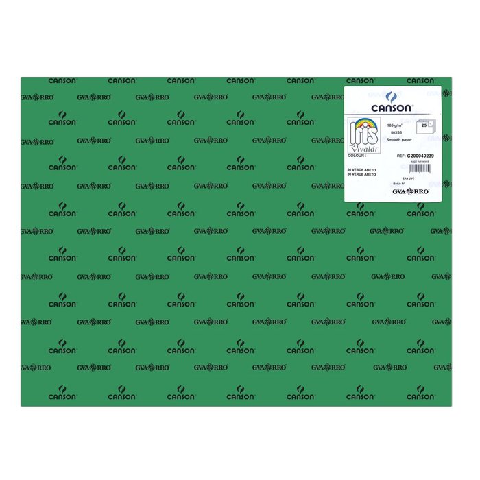 CARTULINA GUARRO 50X65 185GRS IRIS VERDE ABETO | 25 UNIDADES | (GUARRO & CANSON)