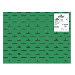 CARTULINA GUARRO 50X65 185GRS IRIS VERDE ABETO | 25 UNIDADES | (GUARRO & CANSON)