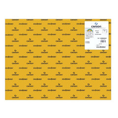 CARTULINA GUARRO 50X65 185GRS IRIS CUERO | 25 UNIDADES | (GUARRO & CANSON)