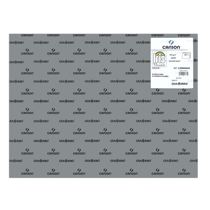 CARTULINA GUARRO 50X65 185GRS IRIS GRIS PLOMO | 25 UNIDADES | (GUARRO & CANSON) Imagen principal del producto