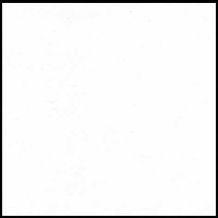 CARTULINA GUARRO IRIS A4 240GRS BLANCO | 50 UNIDADES | (GUARRO & CANSON)