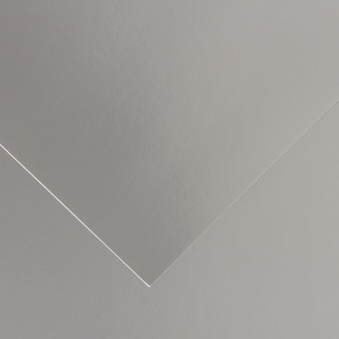 CARTULINA GUARRO 50X65 280GRS METALIZADA PLATA | 25 UNIDADES | (GUARRO & CANSON)