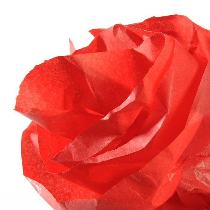 Rollo Papel Seda 50x500cm 20G Rojo Canson Imagen principal del producto
