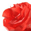 Rollo Papel Seda 50x500cm 20G Rojo Canson