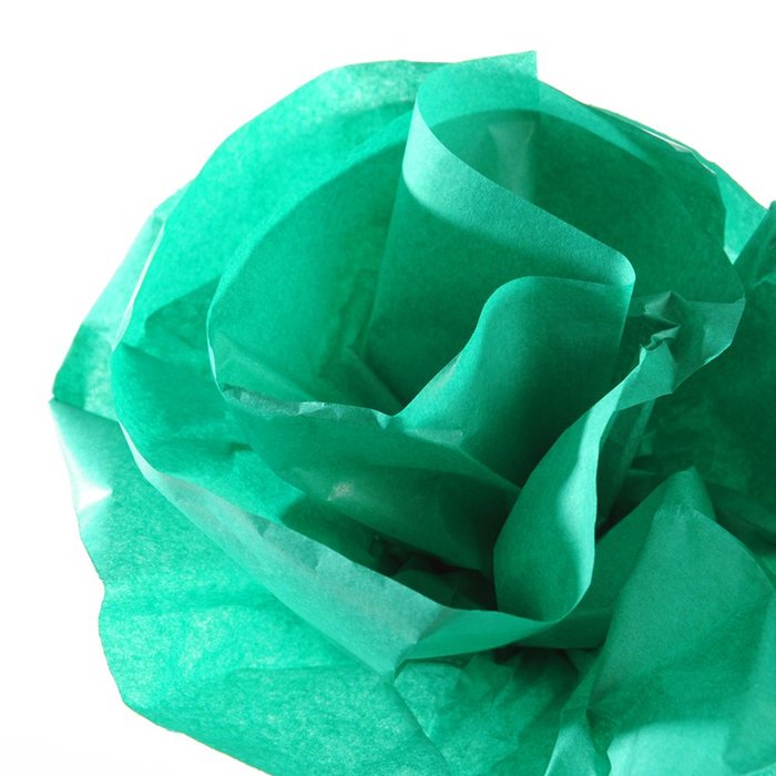 Rollo Papel Seda 50x500cm 20G Verde Selva Canson Imagen principal del producto