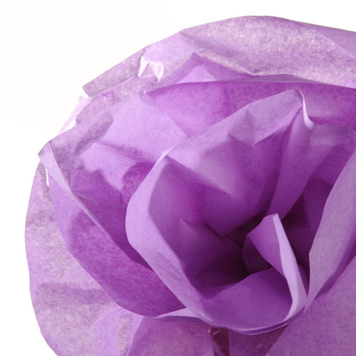 Rollo Papel Seda 50x500cm 20G Lila Canson Imagen principal del producto