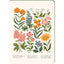 Cuaderno A5 Tapa Rígida Botánica Vintage Pictura