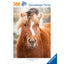 Puzzle 500 Piezas Puppies Collection Gatito y Caballo Ravensburger