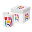 Taza Tulipanes Colores + Caja Regalo
