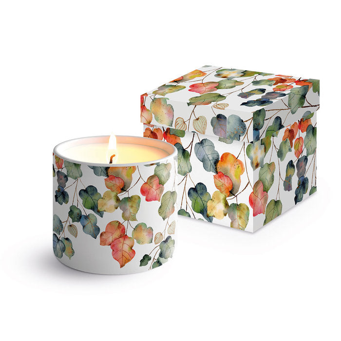 VELA PORCELANA CHINA HOJAS + CAJA REGALO | PPD | 1 UNIDAD | 4021766303361